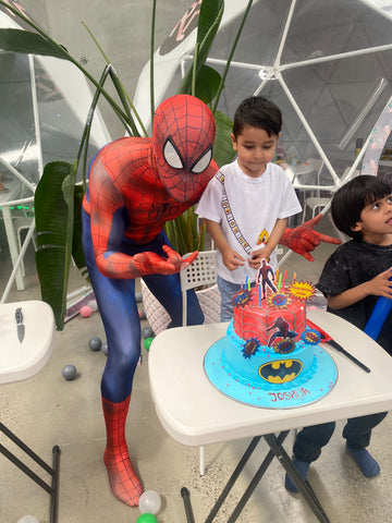 Superhero Party Package